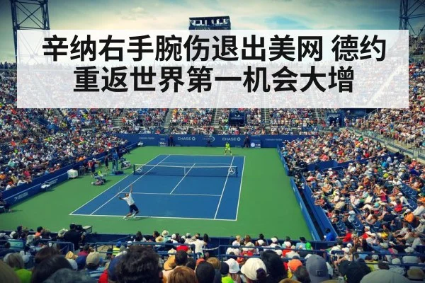 US Open tennis（jiuyouhui）