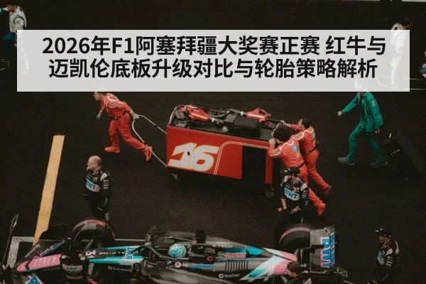 Formula 1 pit crew tire change（jiuyouhui）