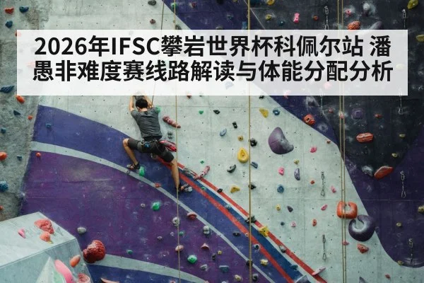 sport climbing competition wall(jiuyouhui)